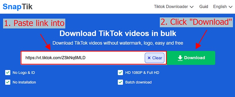 paste url to snaptik