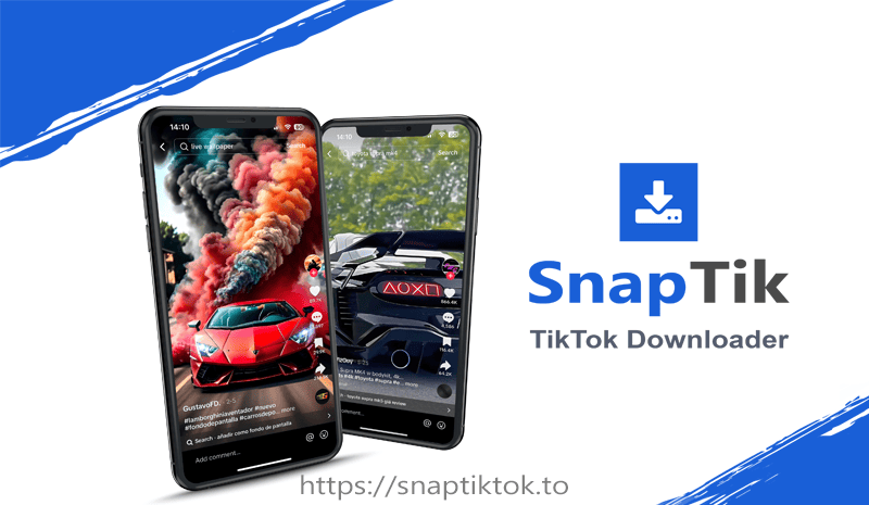 Tiktok Downloader